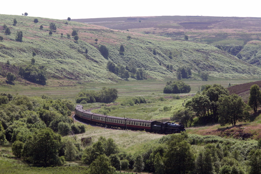 Steam train