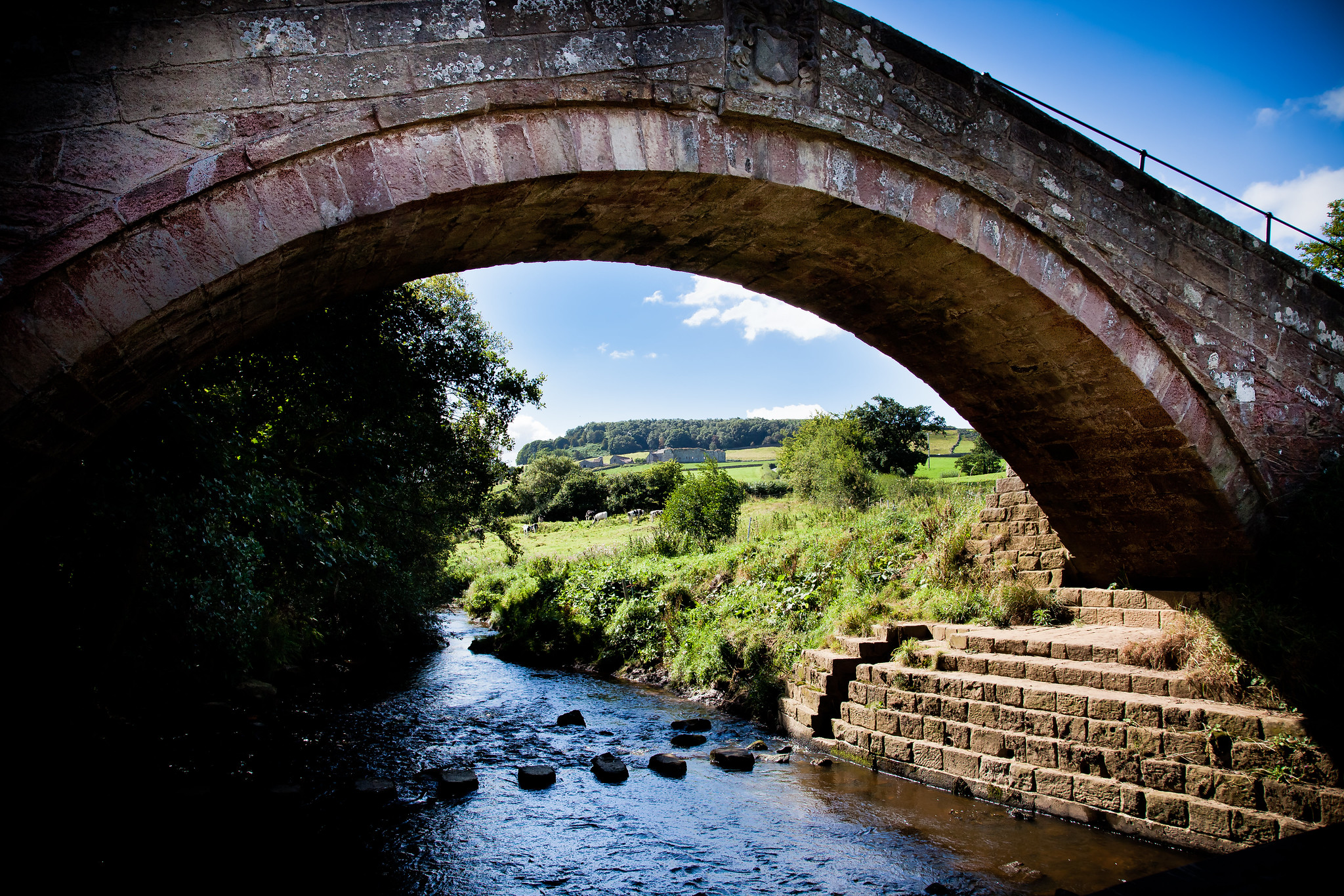 Duck Bridge